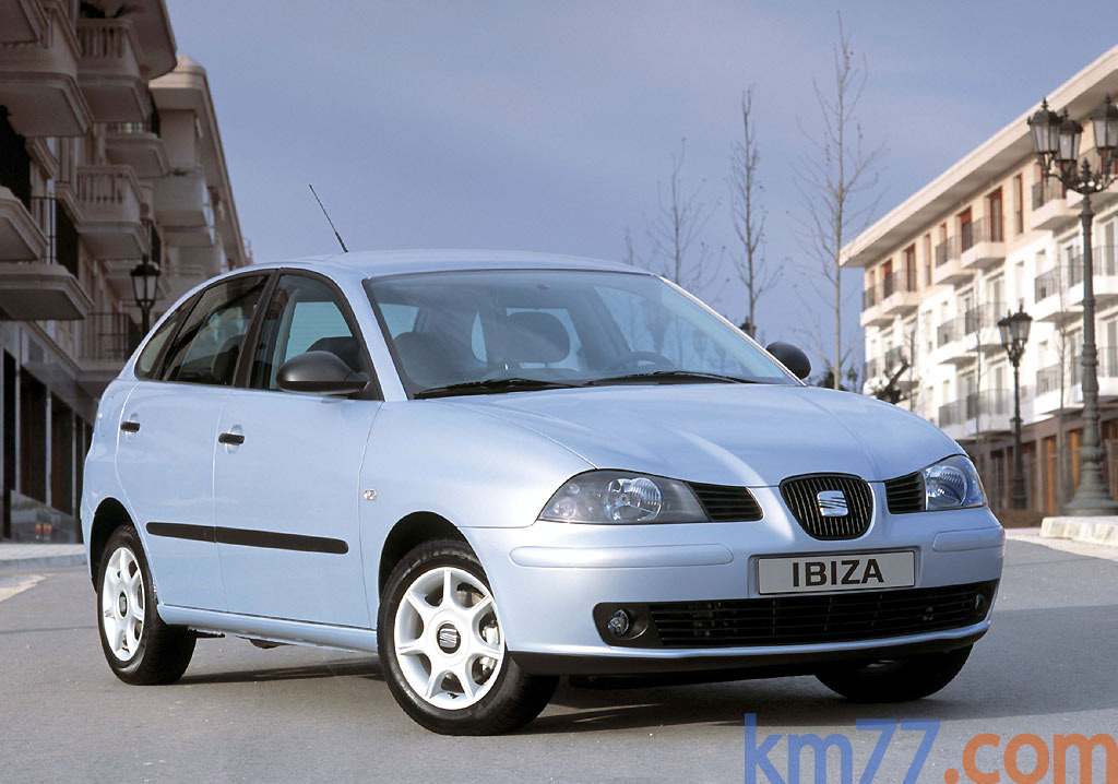 ¿Qué motor tiene el SEAT Ibiza 2002