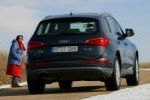 Audi Q5 2.0 TDI 170 CV quattro DPF Gama Q5 Todo terreno Negro Brillante Exterior Posterior 5 puertas