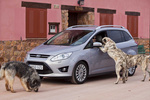 Ford Grand C-MAX 1.6 TDCi 115 CV Titanium con paquete Titanium Monovolumen Plata Exterior Frontal-Lateral 5 puertas