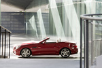 Mercedes-Benz Clase SLK 350 Gama SLK Descapotable Rojo &Oacute;palo Exterior Lateral 2 puertas
