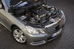 Mercedes-Benz Clase E E 200 NGT BlueEFFICIENCY Gama Clase E Turismo T&eacute;cnica Motor 4 puertas