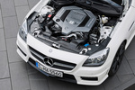 Mercedes-Benz Clase SLK 55 AMG AMG Descapotable T&eacute;cnica Motor 2 puertas