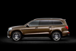 Mercedes-Benz Clase GL GL 350 BlueTEC 4MATIC Gama Clase GL Todo terreno Exterior Lateral 5 puertas