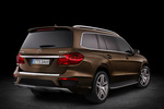 Mercedes-Benz Clase GL GL 350 BlueTEC 4MATIC Gama Clase GL Todo terreno Exterior Posterior-Lateral 5 puertas