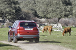Honda CR-V 2.2 i-DTEC 150 CV Lifestyle Todo terreno Rojo Pasi&oacute;n Perlado Exterior Posterior-Lateral 5 puertas