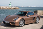 Porsche Cayman Cayman 275 CV Gama Cayman Coup&eacute; Cognac Metalizado Exterior Frontal-Lateral 3 puertas
