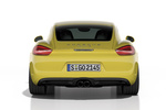 Porsche Cayman Cayman S 325 CV S Coup&eacute; Amarillo Racing Exterior Posterior 3 puertas