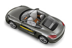 Porsche Cayman Cayman 275 CV Gama Cayman Coup&eacute; T&eacute;cnica Airbags 3 puertas
