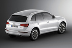 Audi Q5 hybrid quattro 2.0 TFSI tiptronic 8 vel. Hybrid Todo terreno Exterior Posterior-Lateral 5 puertas
