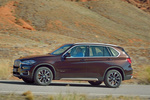 BMW X5 xDrive50i Gama X5 Todo terreno Sparkling Brown Metalizado Exterior Lateral 5 puertas