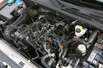 Volkswagen Amarok Canyon Canyon Pick up T&eacute;cnica Motor 4 puertas
