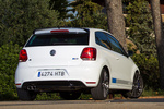 Volkswagen Polo R WRC R WRC Turismo Exterior Posterior-Lateral 3 puertas