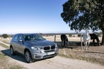 BMW X5 xDrive30d xDrive30d Todo terreno Spacegrau Metalizado Exterior Lateral-Frontal 5 puertas