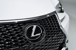 Lexus RC RC 350 F-Sport Coup&eacute; Exterior Parrilla 2 puertas