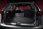 Lexus NX NX 300h F Sport Todo terreno Interior Maletero 5 puertas