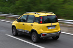 Fiat Panda Cross (Gama 2014) Cross (Gama 2014) Turismo Exterior Lateral-Posterior 5 puertas