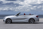 BMW Serie 2 228i Descapotable Exterior Lateral 2 puertas