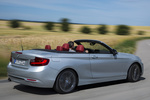 BMW Serie 2 228i Descapotable Exterior Lateral-Posterior 2 puertas