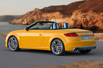 Audi TT TTS Roadster TTS Roadster Descapotable Amarillo Vegas Exterior Lateral-Posterior 2 puertas