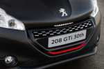 Peugeot 208 1.6 208 CV GTi 30th Turismo Exterior Parrilla 3 puertas