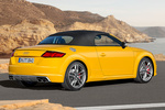 Audi TT TTS Roadster TTS Roadster Descapotable Amarillo Vegas Exterior Lateral-Posterior 2 puertas