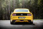 Ford Mustang 2.3 Ecoboost 317 CV Gama Mustang Fastback Coup&eacute; Exterior Posterior 2 puertas