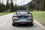 Ford Mustang GT 5.0 Ti-VCT V8 421 CV Gama Mustang Convertible Descapotable Gris Guard Exterior Posterior 2 puertas