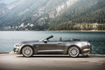 Ford Mustang GT 5.0 Ti-VCT V8 421 CV Gama Mustang Convertible Descapotable Gris Guard Exterior Lateral 2 puertas