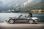 Ford Mustang GT 5.0 Ti-VCT V8 421 CV Gama Mustang Convertible Descapotable Gris Guard Exterior Lateral 2 puertas