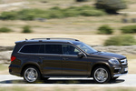 Mercedes-Benz Clase GL GL 350 BlueTEC 4MATIC Paquete deportivo AMG Todo terreno Marr&oacute;n Citrina Metalizado Exterior Lateral 5 puertas
