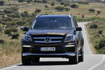 Mercedes-Benz Clase GL GL 350 BlueTEC 4MATIC Paquete deportivo AMG Todo terreno Marr&oacute;n Citrina Metalizado Exterior Frontal-Lateral 5 puertas