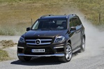 Mercedes-Benz Clase GL GL 350 BlueTEC 4MATIC Paquete deportivo AMG Todo terreno Marr&oacute;n Citrina Metalizado Exterior Frontal-Lateral 5 puertas