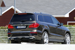 Mercedes-Benz Clase GL GL 350 BlueTEC 4MATIC Paquete deportivo AMG Todo terreno Marr&oacute;n Citrina Metalizado Exterior Posterior-Lateral 5 puertas