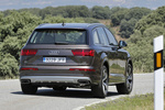 Audi Q7 3.0 TDI 272 CV Gama Q7 Todo terreno Marr&oacute;n Argus metalizado Exterior Posterior-Lateral 5 puertas