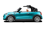 MINI MINI Cooper S Gama MINI Cabrio Descapotable Exterior Lateral 2 puertas