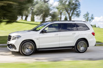 Mercedes-Benz GLS AMG 63 4MATIC AMG 63 4MATIC Todo terreno Exterior Lateral 5 puertas