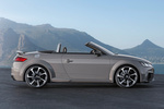 Audi TT TT RS Roadster TT RS Roadster Descapotable Gris Nardo Exterior Lateral 2 puertas