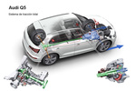 Audi Q5 Gama Q5 Gama Q5 Todo terreno T&eacute;cnica Sistema de tracci&oacute;n total 5 puertas