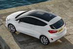 Ford Fiesta Gama Fiesta Vignale Turismo Exterior Cenital-Lateral-Posterior 3 puertas