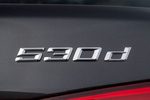 BMW Serie 5 530d xDrive Luxury Line Turismo Exterior Anagrama 4 puertas