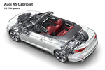 Audi A5 Gama A5 Cabrio Gama A5 Cabrio Descapotable T&eacute;cnica Motor 2 puertas