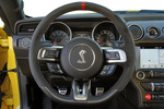 Ford Mustang Shelby GT350R Shelby GT350R Coup&eacute; Interior Volante 2 puertas