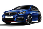 Peugeot 308 GTi 1.6 THP 270 CV GTi Turismo Coupe Franche Exterior Frontal-Lateral 5 puertas