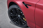 BMW Serie 5 M5 M5 First Edition Turismo Frozen Dark Red metallic Exterior Llanta 4 puertas