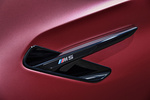 BMW Serie 5 M5 M5 First Edition Turismo Frozen Dark Red metallic Exterior Detalle 4 puertas