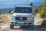 Mercedes-Benz Clase G Gama Clase G (camuflaje) Gama Clase G (camuflaje) Todo terreno Exterior Frontal 5 puertas