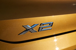 BMW X2 xDrive 20d M Sport X Todo terreno Galvanic Gold Exterior Anagrama 5 puertas