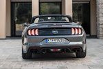 Ford Mustang Convertible 5.0 Ti-VCT V8 331 kW (450 CV) Convertible GT Descapotable Magnetic Exterior Posterior 2 puertas