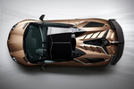 Lamborghini Aventador SVJ Roadster SVJ Roadster Descapotable Bronzo Zenas Exterior Cenital 2 puertas