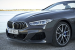 BMW Serie 8 M850i xDrive Cabrio M850i Cabrio Descapotable Dravitgrau Metalizado Exterior Parrilla 2 puertas